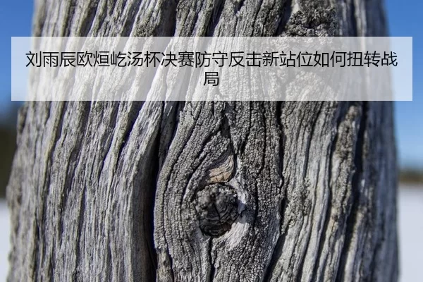 liu-yu-chen-ou-xuan-yi-tang-bei-jue-sai-fang-shou-fan-ji-xin-zhan-wei-ru-he-niu-zhuan-zhan-ju-2-118.jpg